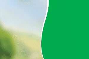 Home Sidebar Right Two 3